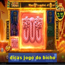 dicas jogo do bicho